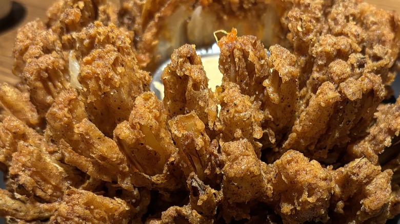 closeup of bloomin onion petals