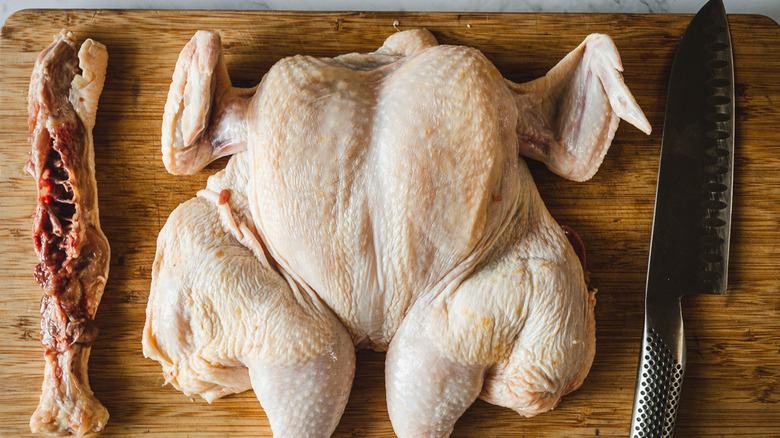 flattened chicken with backbone removed