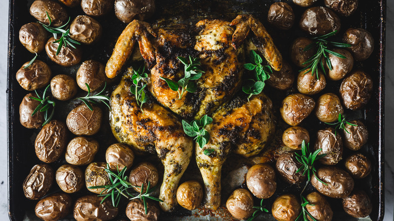 oven-roasted spatchcock chicken with herbs and potatoes