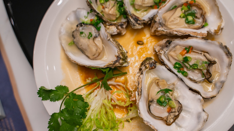 Plate of oysters