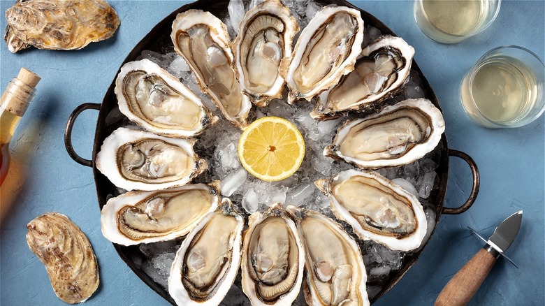 Plate of oysters