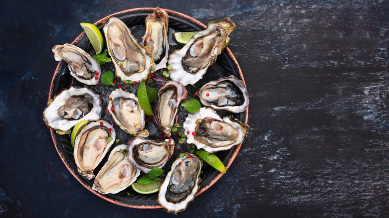 A plate of oysters