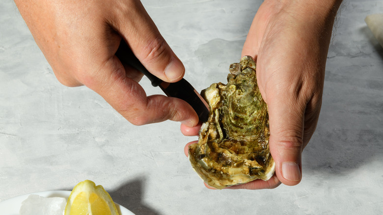 Man shucking oyster