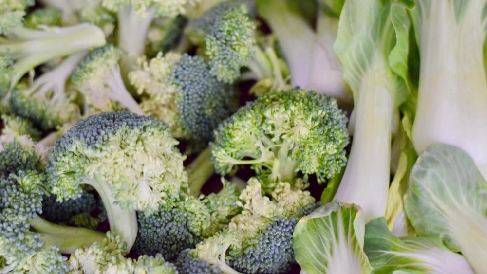 raw broccoli and bok choy