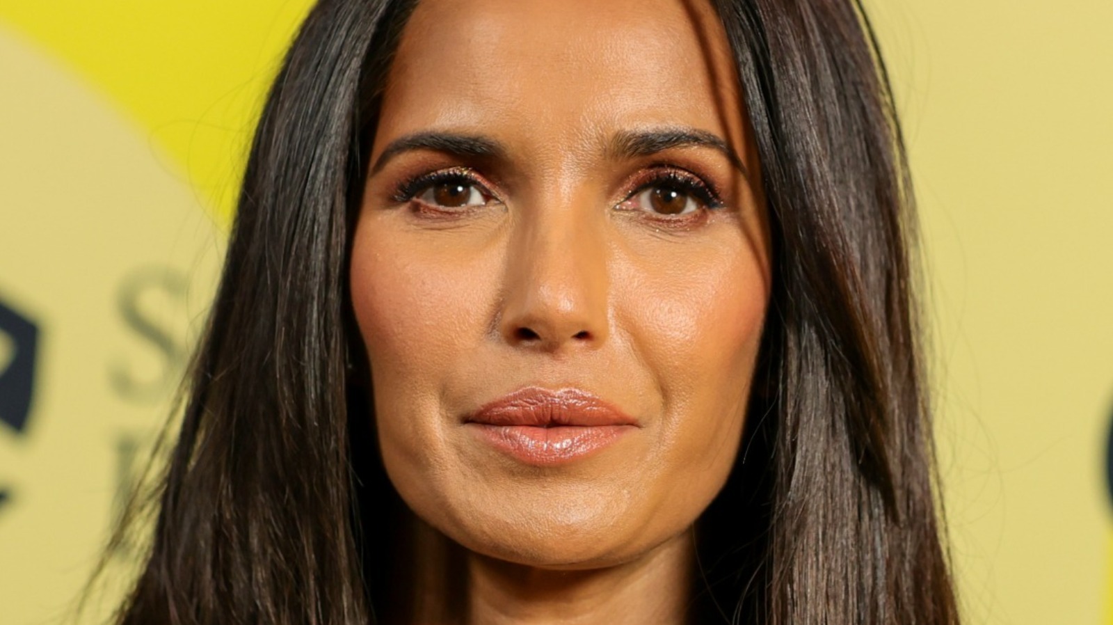 padma-lakshmi-is-so-proud-to-be-part-of-this-sesame-street-special