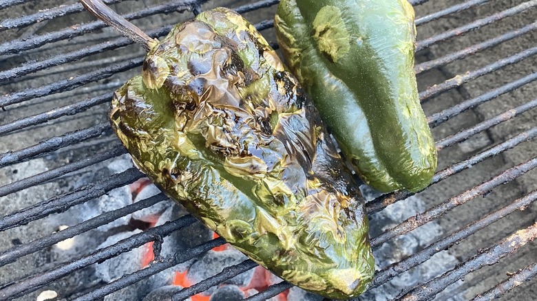 Poblano peppers roasting on grill