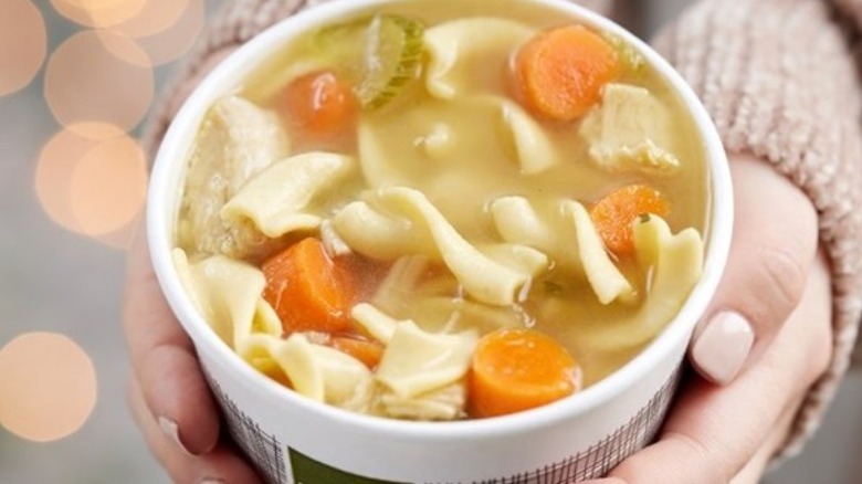 panera bread chicken noodle soup