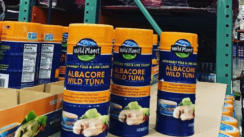 albacore tuna