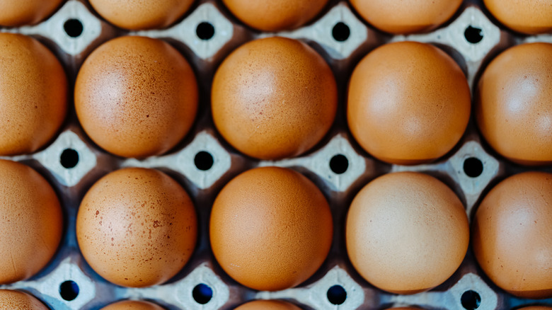 carton of brown eggs