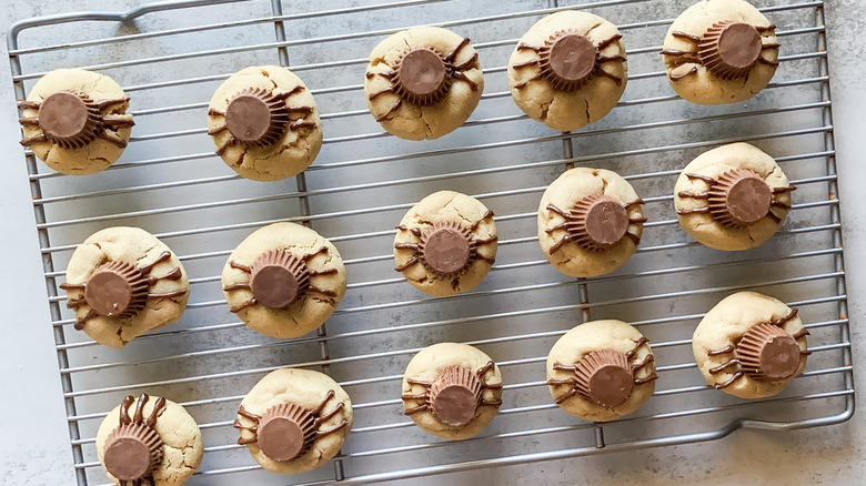 spider cookies on cooling rack