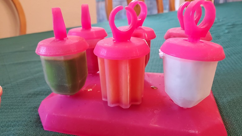 popsicle mold with homemade popsicles