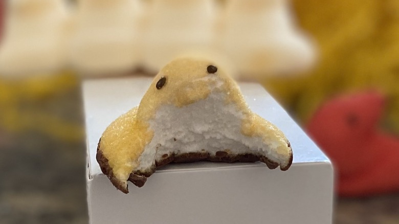 S'Mores Peep with bite taken