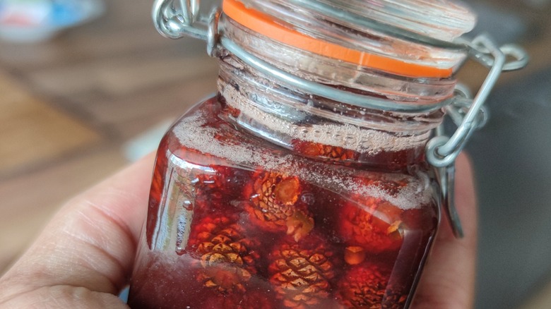 Jar of candied pine cones 