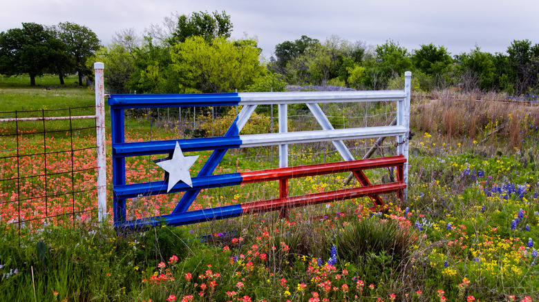 Texas state flag fence