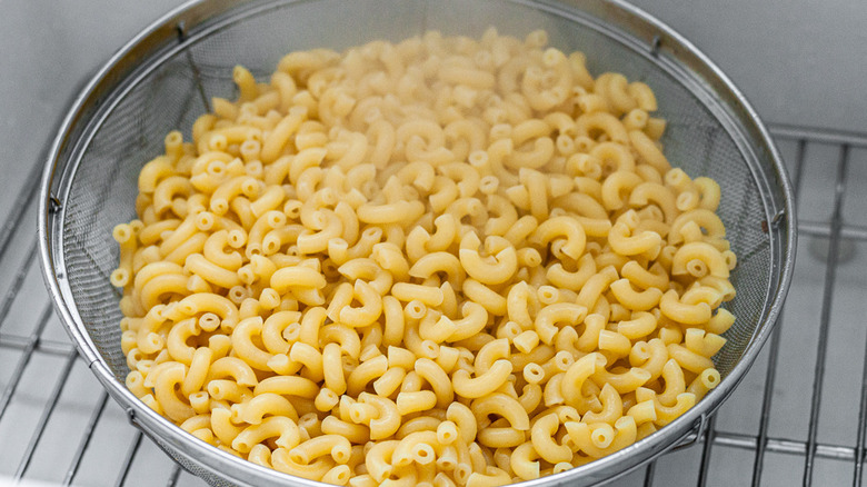 cooked elbow macaroni in colander