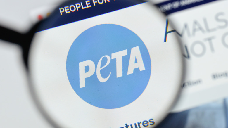 Magnifying glass over PETA logo