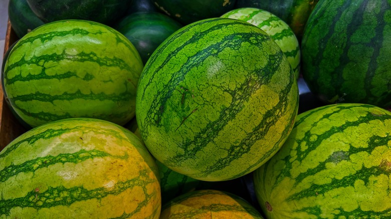 pile of watermelons 