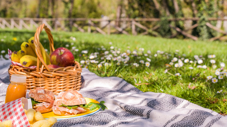 Fruits and sandwiches on blanket