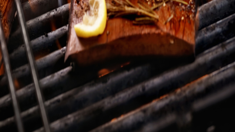 fish on cedar plank grill