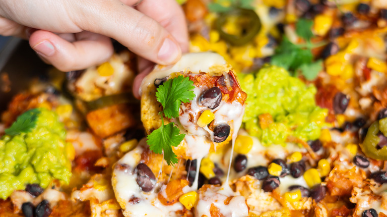 hand holding cheesy nacho with cilantro