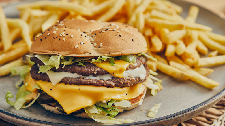 cheeseburger and fries on plate