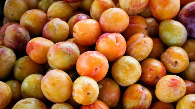 Pluots at farmers market