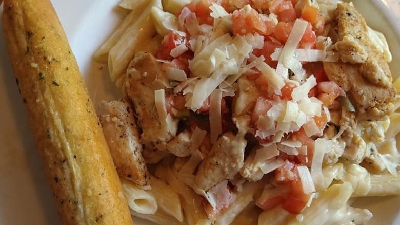 white plate of three cheese chicken penne pasta on a gray counter