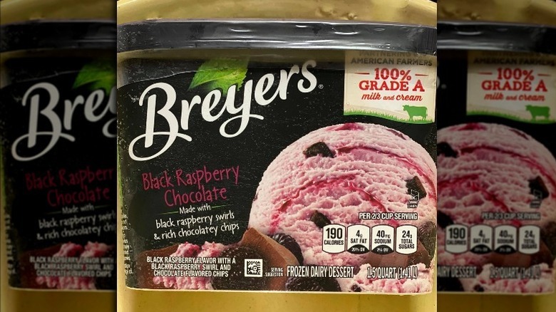 Black Raspberry Chocolate breyers