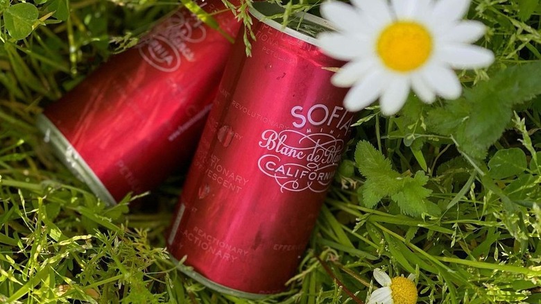 Cans of Sofia Wine