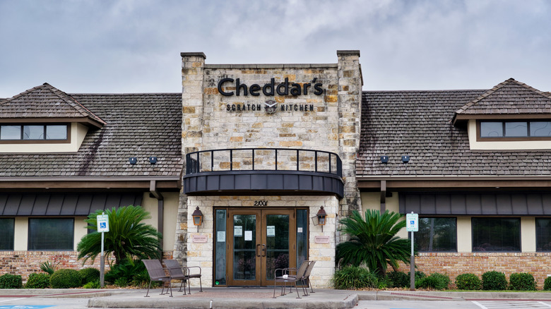 Cheddar's Scratch Kitchen