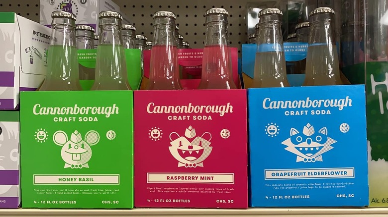 Cannonborough Craft Soda 4-packs