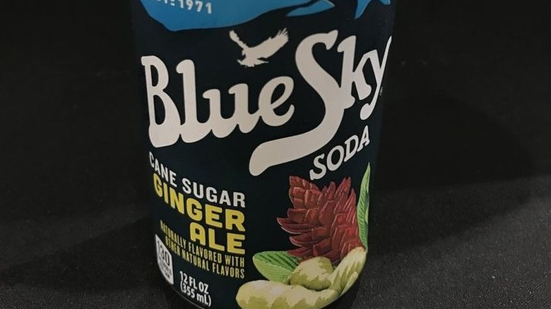 Blue Sky Ginger Ale can