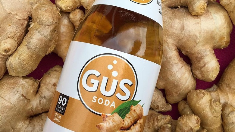 Bottle of GuS Ginger Ale