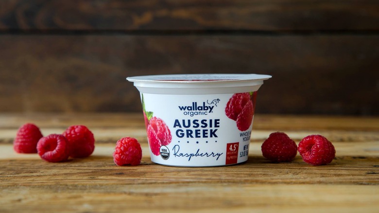 Wallaby Organic yogurt