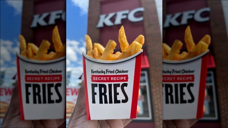 KFC Secret recipe fries