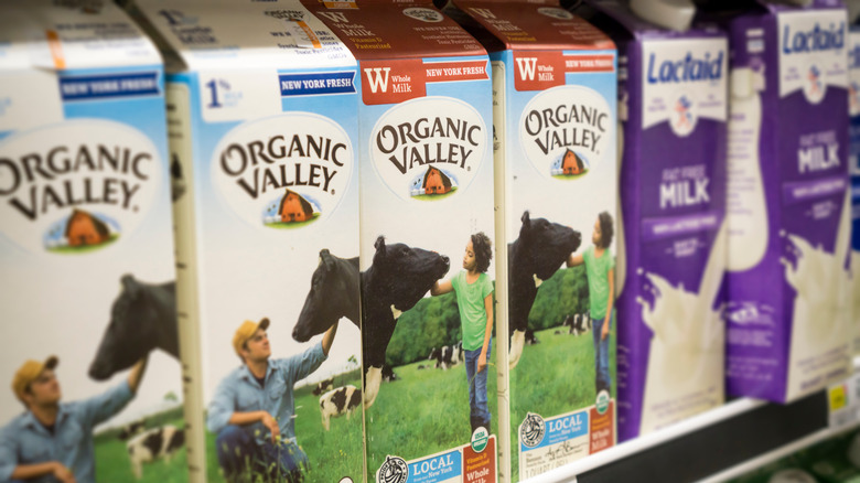 Cartons of Organic Valley milk