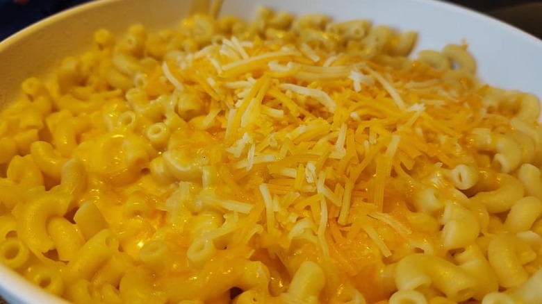 Wisconsin Mac and Cheese