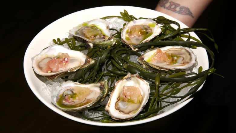 oysters