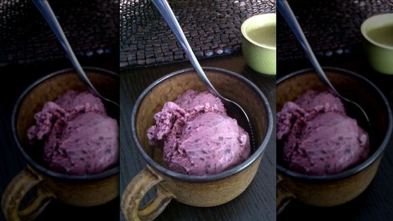 Black Raspberry Chocolate Chip Gelato in bowl