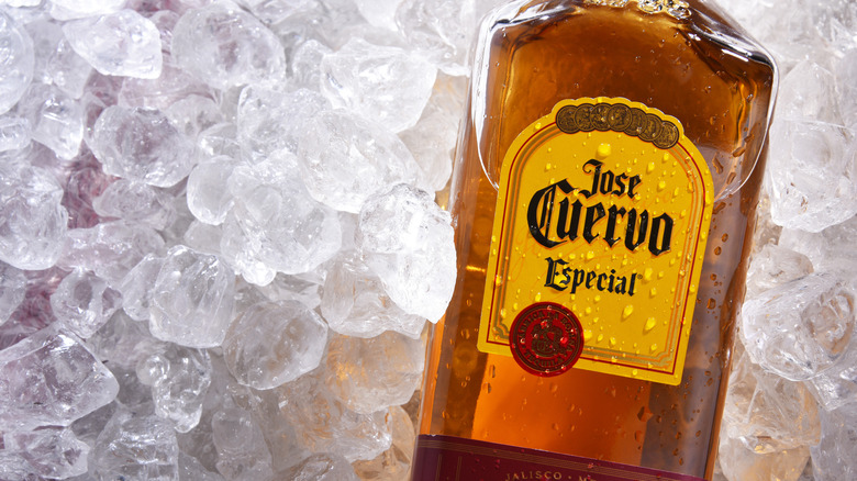 Bottle of Jose Cuervo tequila on ice