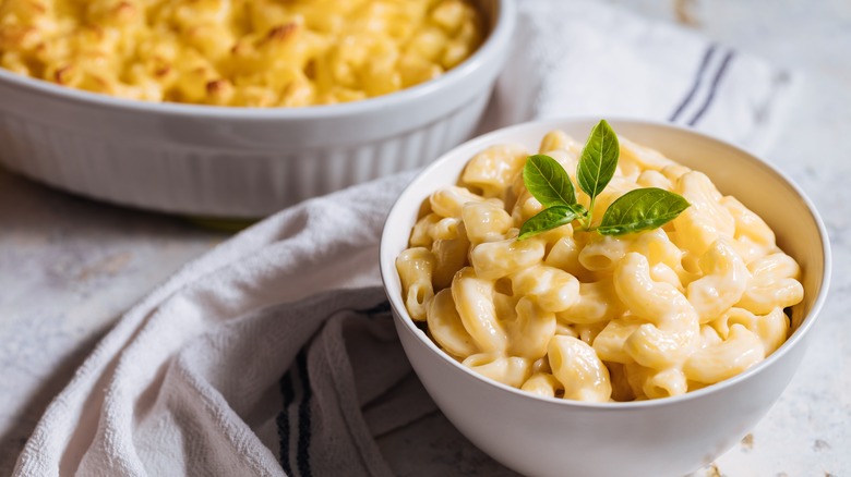 macaroni and cheese plated