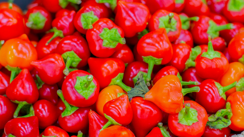 Pile of cherry peppers