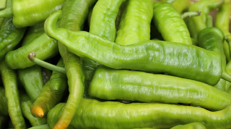 Fresh cubanelle peppers