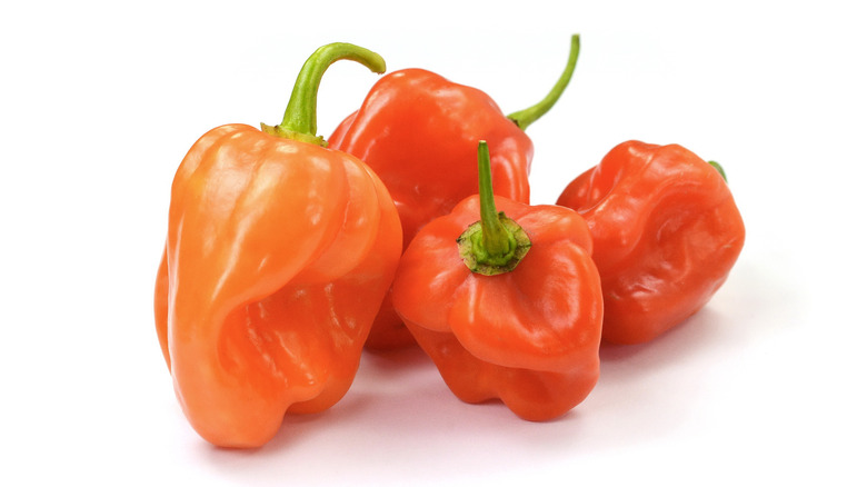 Four orange habanero peppers