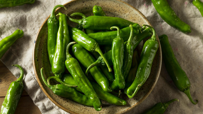 Bowl of Shishito peppers