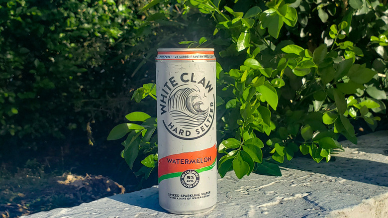 Watermelon White Claw can in garden