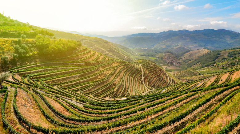 douro valley