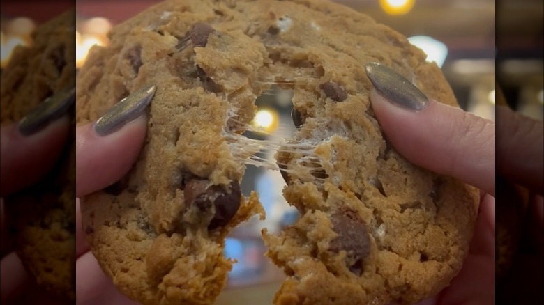 S'mores cookie from Potbelly