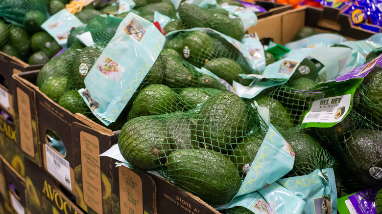 bagged avocados at costco