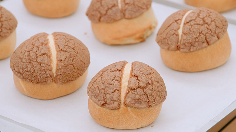 Mexican conchas